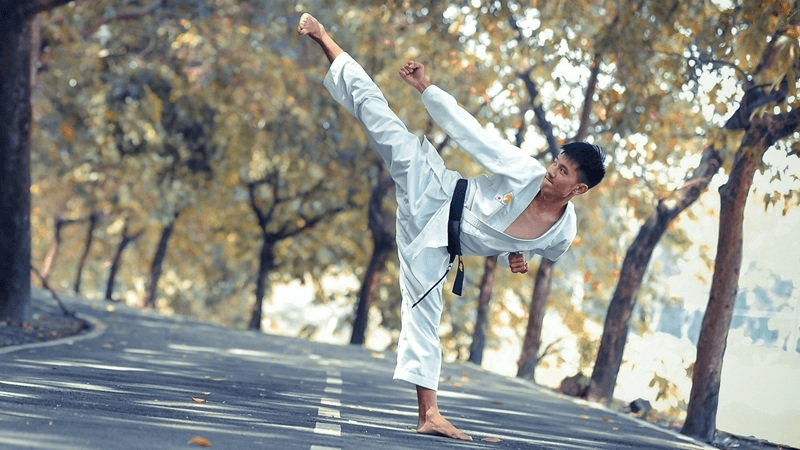 Học võ Karate có tác dụng gì? (Ảnh: Sưu tầm Internet)