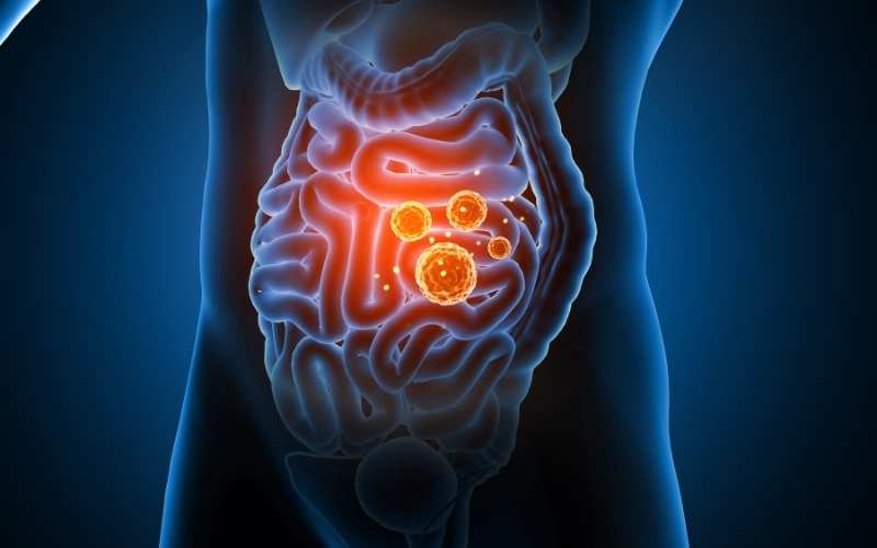 Ăn khoai lang tốt cho hệ tiêu hóa. (Ảnh: Sưu tầm Internet)