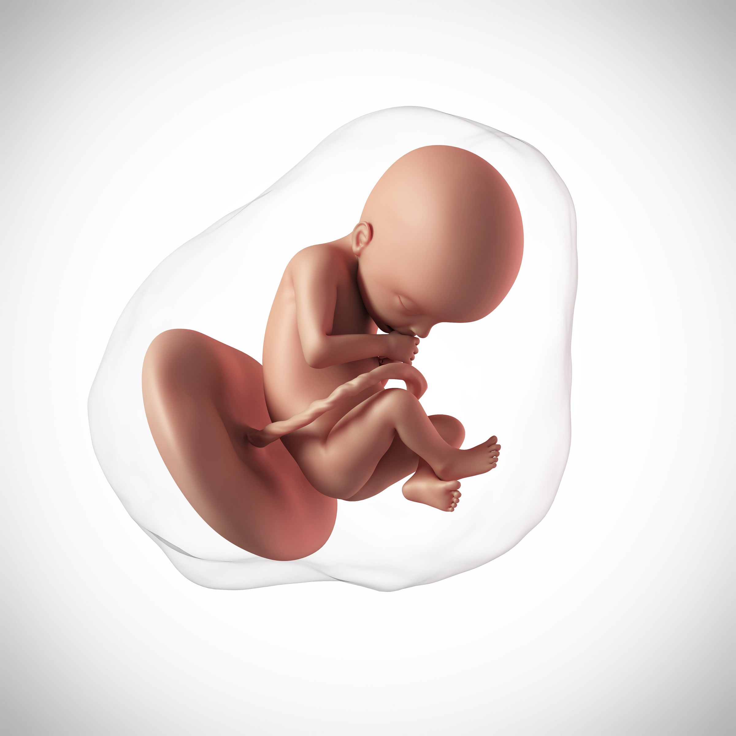 Thai nhi chèn ép khiến mẹ dễ bị đau háng. (Ảnh: Sưu tầm Internet)