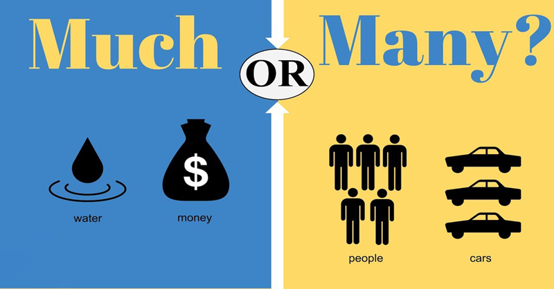 Sentence structures with Much/Many. (Image: Internet)