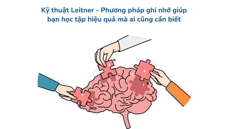Cách hoạt động của Leitner System. (Ảnh: Sưu tầm Internet)