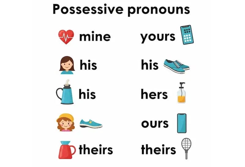 Each pronoun stands alone and cannot be placed in front of a noun. (Image: Internet)