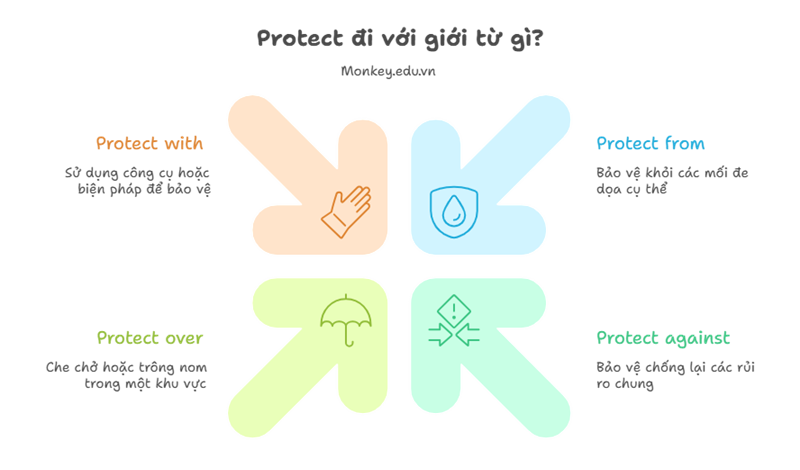 Động từ protect thường đi kèm các giới từ from, against, over, with. (Ảnh: Sưu tầm Internet)