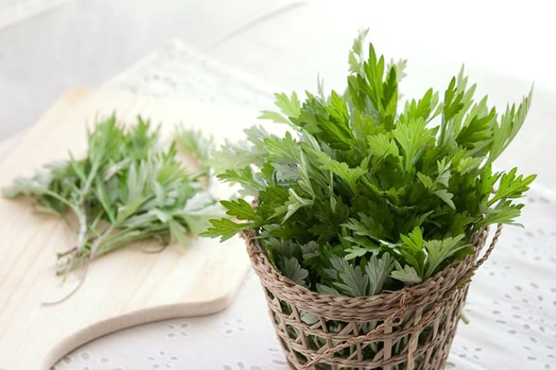 Công dụng của rau ngải cứu cho mẹ sau khi sinh. (Ảnh: Sưu tầm Internet)