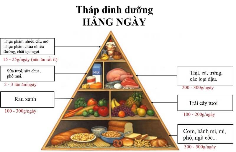 Tháp dinh dưỡng cho người giảm cân hiện nay. (Ảnh: Sưu tầm Internet)