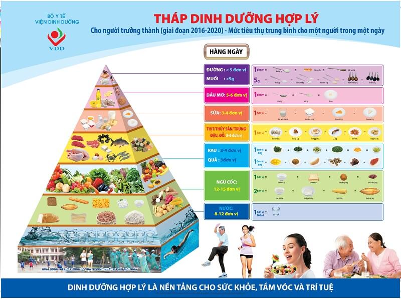 Chi tiết tháp dinh dưỡng cho người trưởng thành. (Nguồn: Sưu tầm Internet)