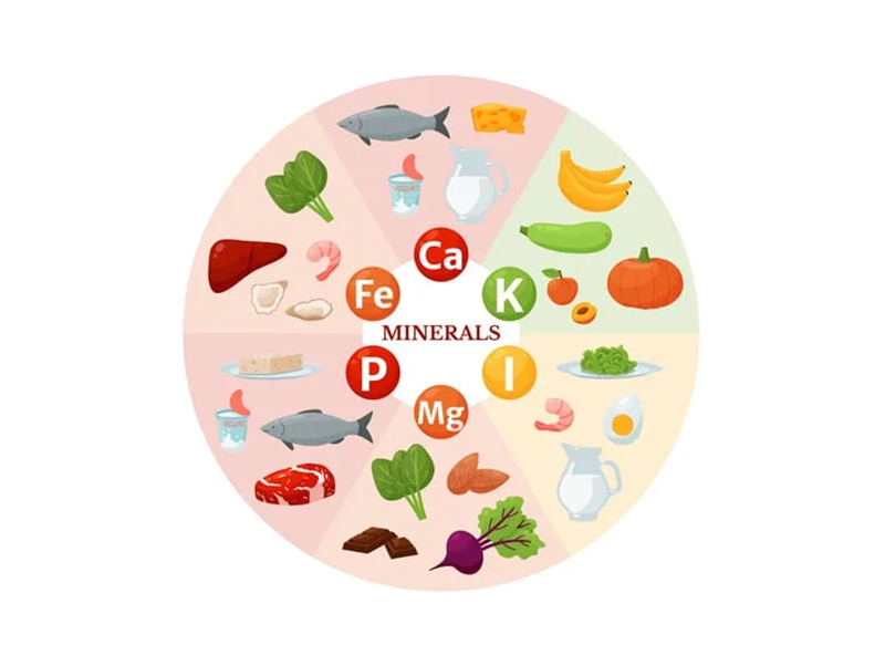Thành phần dinh dưỡng thiết yếu cho trẻ mầm non. (Ảnh: Sưu tầm Internet)