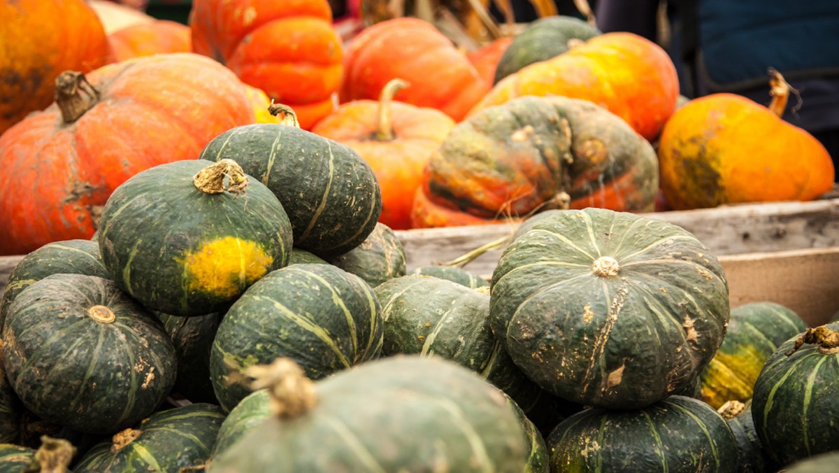 Mẹ bầu bị tiểu đường có nên ăn bí đỏ? (Ảnh: Sưu tầm Internet)