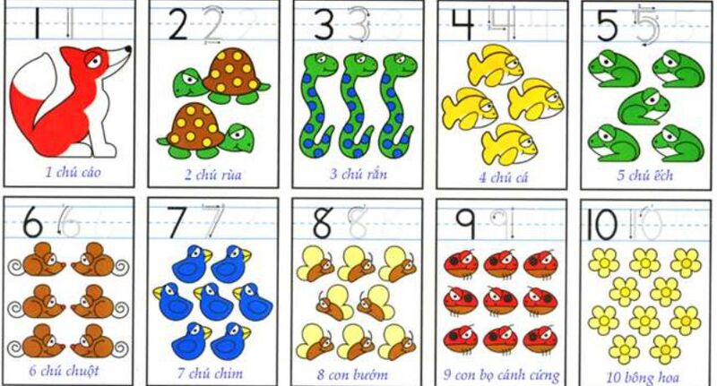 Học toán tư duy giúp bé rèn luyện được các kỹ năng cần thiết. (Ảnh: Sưu tầm Internet)