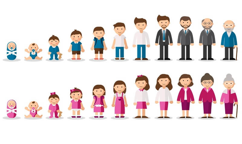 Phân loại tự thức. (Ảnh: Sưu tầm Internet)