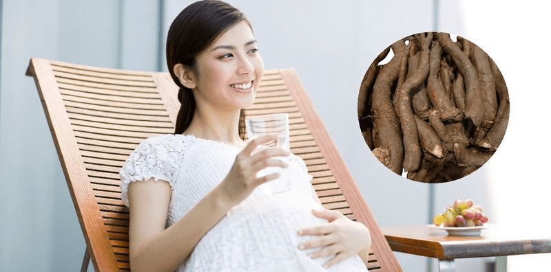 Tác dụng của củ gai đến mẹ bầu và thai nhi. (Ảnh: Sưu tầm Internet)