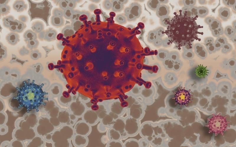 Vi khuẩn xâm nhập. (Ảnh: Sưu tầm Internet)