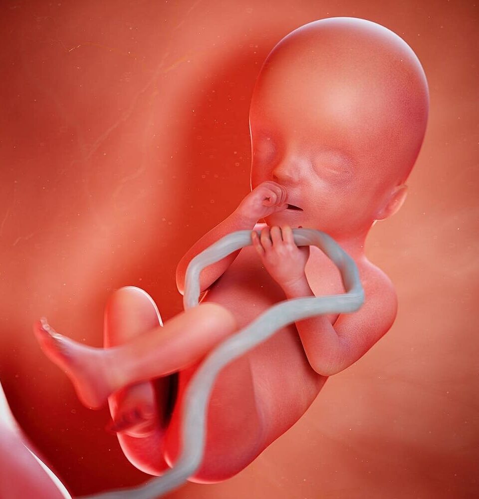 Bổ sung Vitamin A có gây dị tật thai nhi? (Ảnh: Sưu tầm Internet)