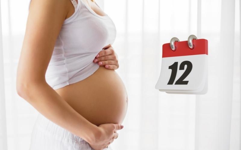 Những dấu hiệu có thai mẹ bầu thường gặp ở tuần 12. (Ảnh: Sưu tầm Internet)