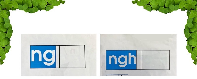 Cách sử dụng ng và ngh. (Ảnh: Sưu tầm internet)