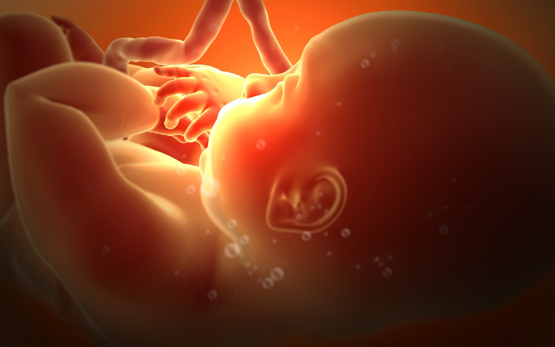 Ảnh hưởng của đường huyết thai kỳ cao. (Ảnh: Sưu tầm Internet)