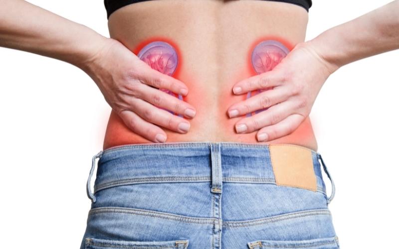 Sỏi thận khiến người bệnh bị đau bụng, đau lưng. (Ảnh: Sưu tầm Internet)