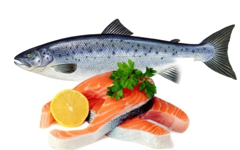 Thuỷ ngân tích lũy trong cơ thể mẹ khiến thai nhi chậm phát triển. (Ảnh: Sưu tầm Internet)