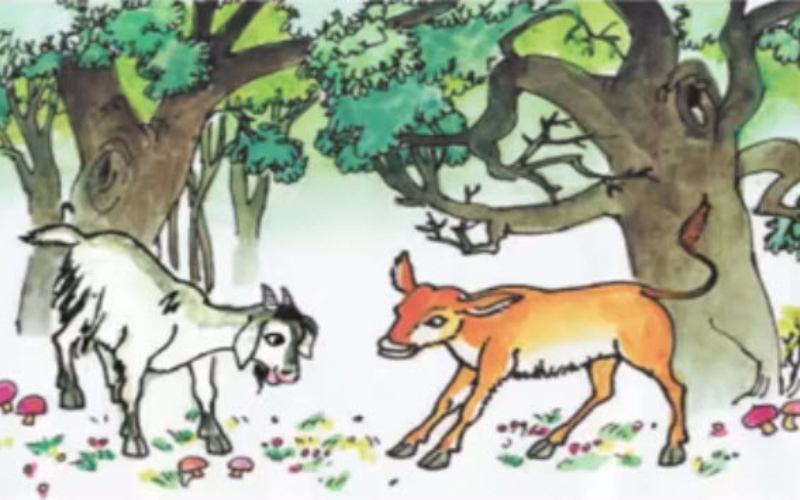 Luyện tập tiếng việt lớp 2 bài 17 gọi bạn. (Ảnh: Sưu tầm Internet)