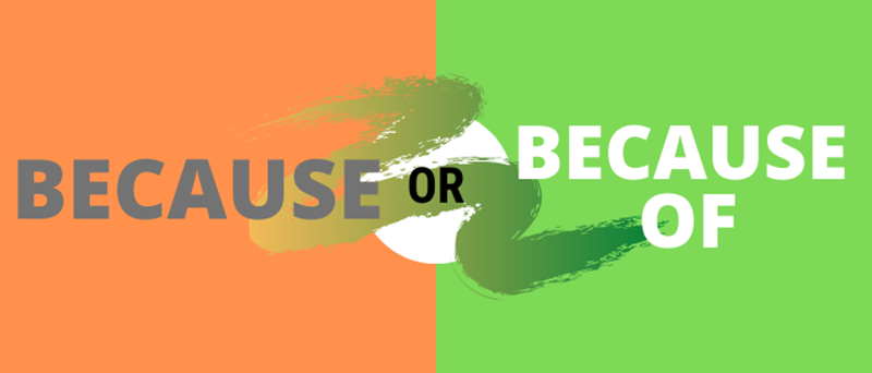 Frequently asked questions. (Image: Internet)