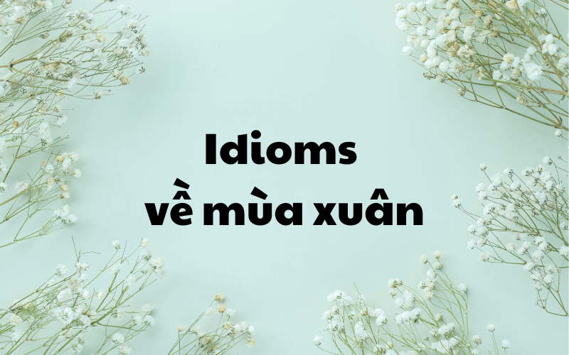 Một vài idioms về mùa xuân trong tiếng Anh. (Ảnh: Sưu tầm Internet)