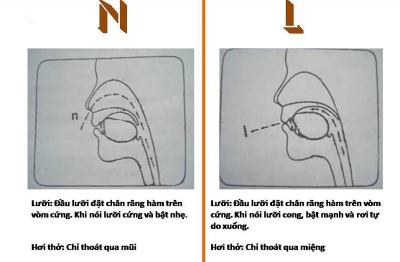 Cách Phát Âm L và N: Bí Quyết Đơn Giản và Hiệu Quả