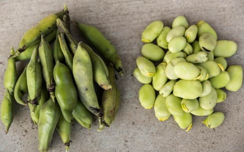Cần sơ chế và chế biến đậu lima cẩn thận trước khi ăn. (Ảnh: Sưu tầm Internet)