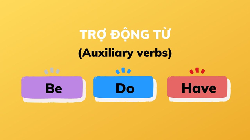 Trợ động từ - Auxiliary Verbs. (Sưu tầm Internet)