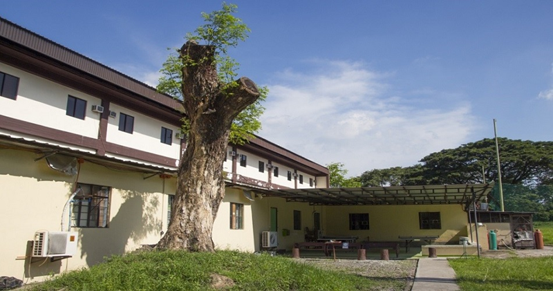 Trường Anh ngữ Help Clark. (Ảnh: Sưu tầm Internet)