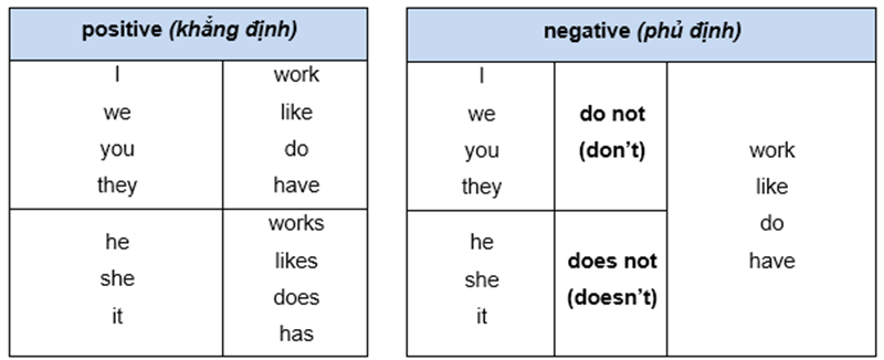 Don’t và doesn’t trong thể phủ định. (Ảnh: Sưu tầm Internet)