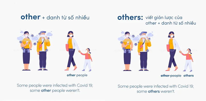Khi nào dùng Other? Khi nào dùng Others? (Ảnh: Sưu tầm Internet)