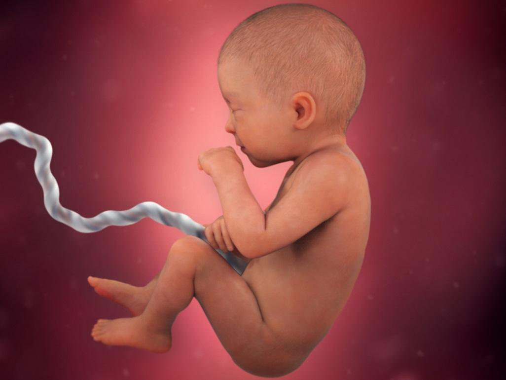 Các bộ phận đang dần hoàn thiện. Ảnh: Sưu tầm Internet)