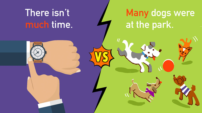 Frequently asked questions. (Image: Internet)