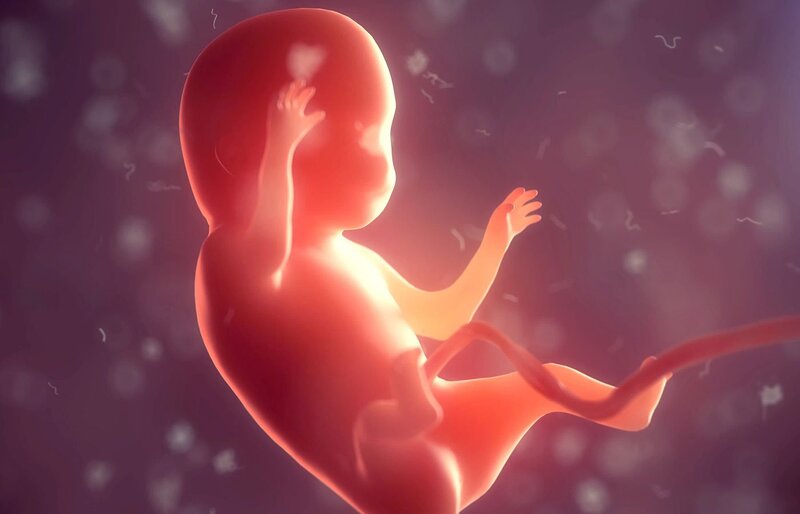 Nhau thai yếu ảnh hưởng đến em bé. (Ảnh: Sưu tầm Internet)