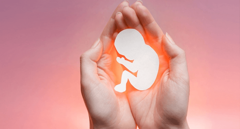 Những thực phẩm cần kiêng trong 3 tháng đầu thai kỳ. (Ảnh: Sưu tầm Internet)