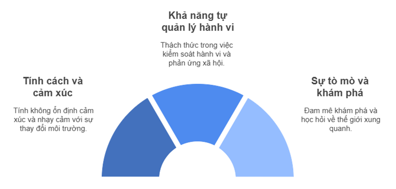 Đặc điểm hành vi của trẻ khuyết tật trí tuệ. (Ảnh: Sưu tầm Internet)