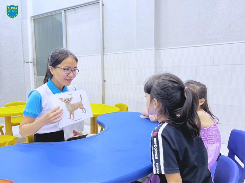 ALOHA Sài Gòn - Trung tâm tiếng Anh Trà Vinh. (Ảnh: Sưu tầm Internet)