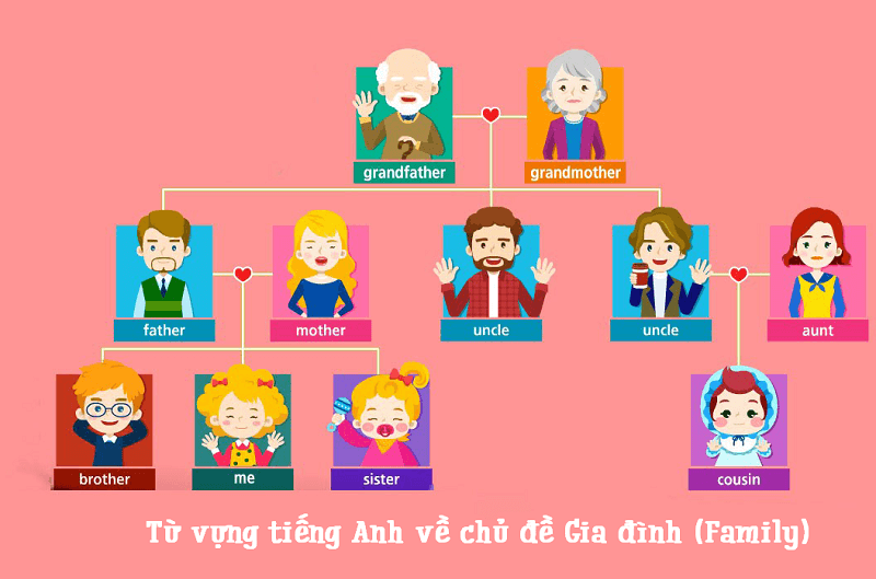Từ vựng tiếng Anh cho bé 4 tuổi về Gia đình (Family). (Ảnh: Sưu tầm Internet)