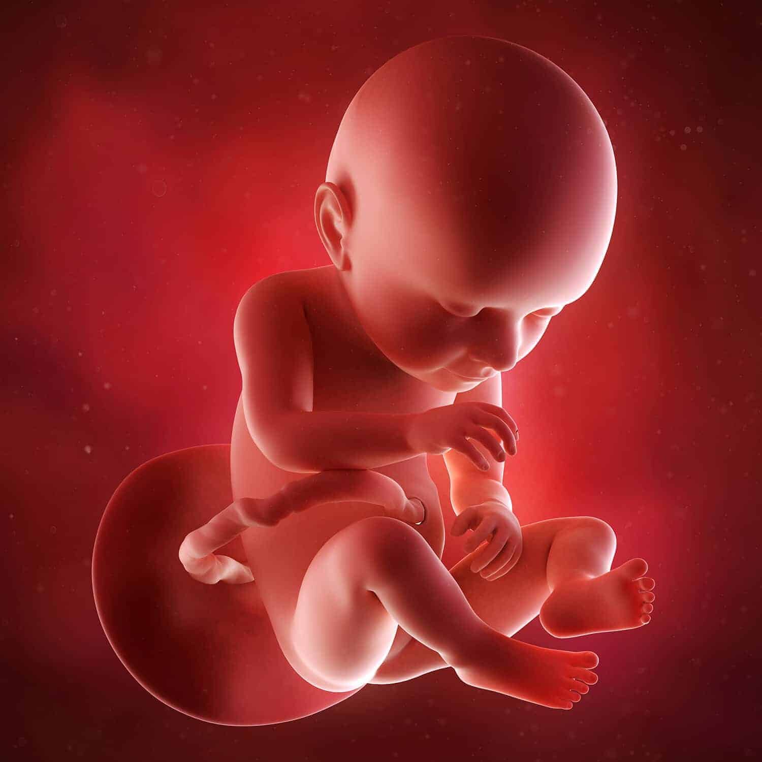 Tăng cân quá nhiều hoặc quá ít đều ảnh hưởng đến cả mẹ và thai nhi. (Ảnh: Sưu tầm Internet)