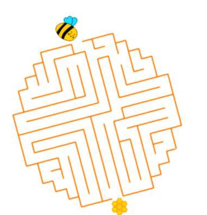 Bài toán mê cung 1 (Nguồn ảnh: Sưu tầm internet)