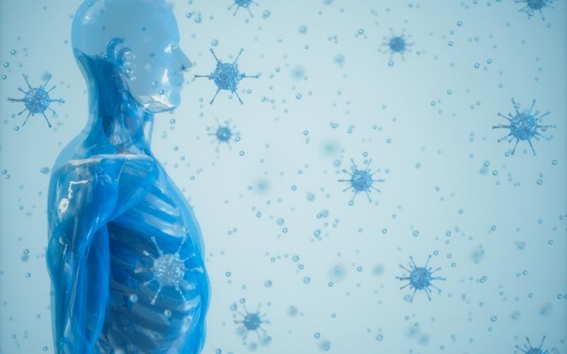 Ăn rong nho giúp tăng cường khả năng miễn dịch. (Ảnh: Sưu tầm Internet)