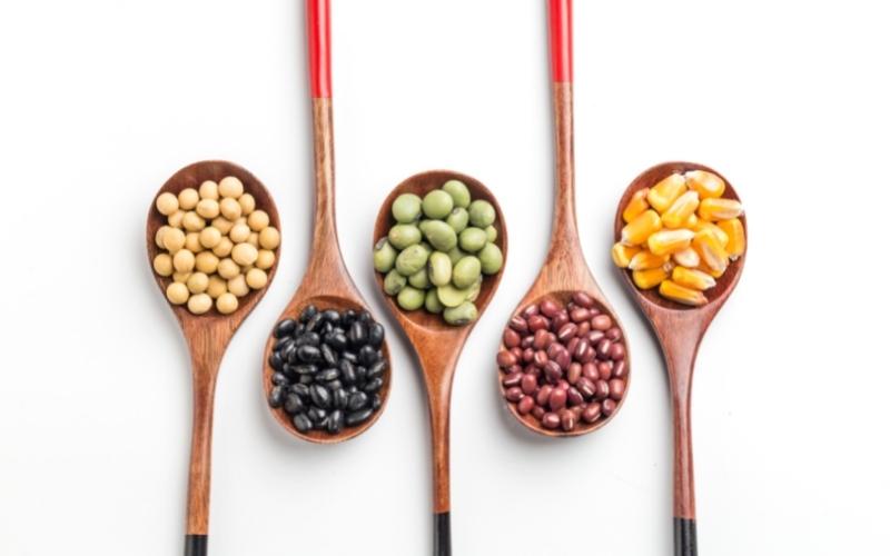 Chất đạm là nguồn cung cấp dinh dưỡng cho cơ thể. (Ảnh: Sưu tầm Internet)