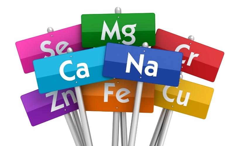 Chất khoáng rất cần thiết cho hệ xương và răng. (Ảnh: Sưu tầm Internet)