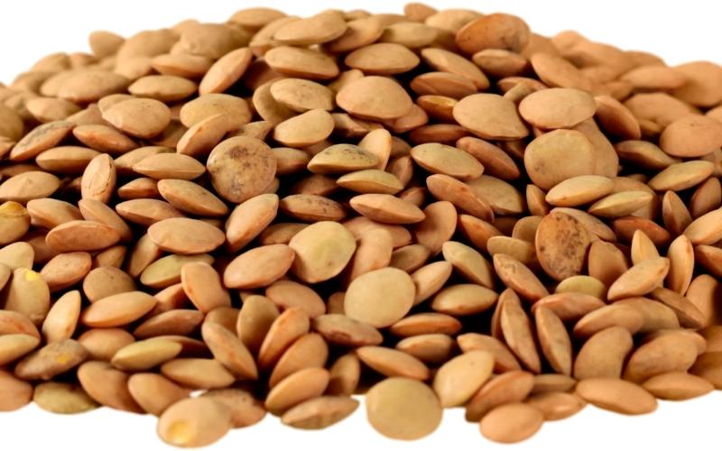 Đậu lăng được chế biến thành nhiều món ăn. (Ảnh: Sưu tầm Internet)