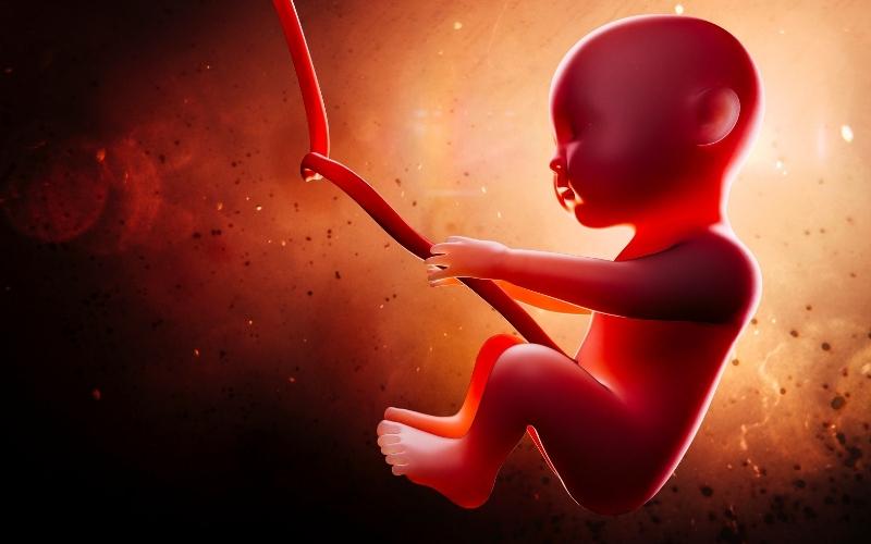 Thai nhi chậm phát triển. (Ảnh: Sưu tầm Internet)