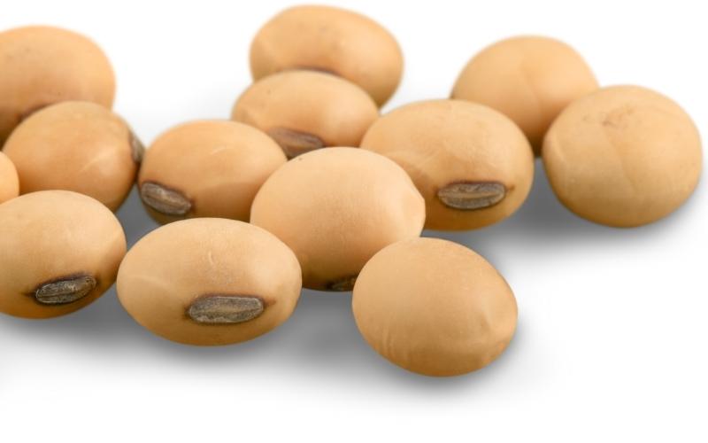 Trong sữa đậu nành chứa 140mg canxi. (Ảnh: Sưu tầm Internet)