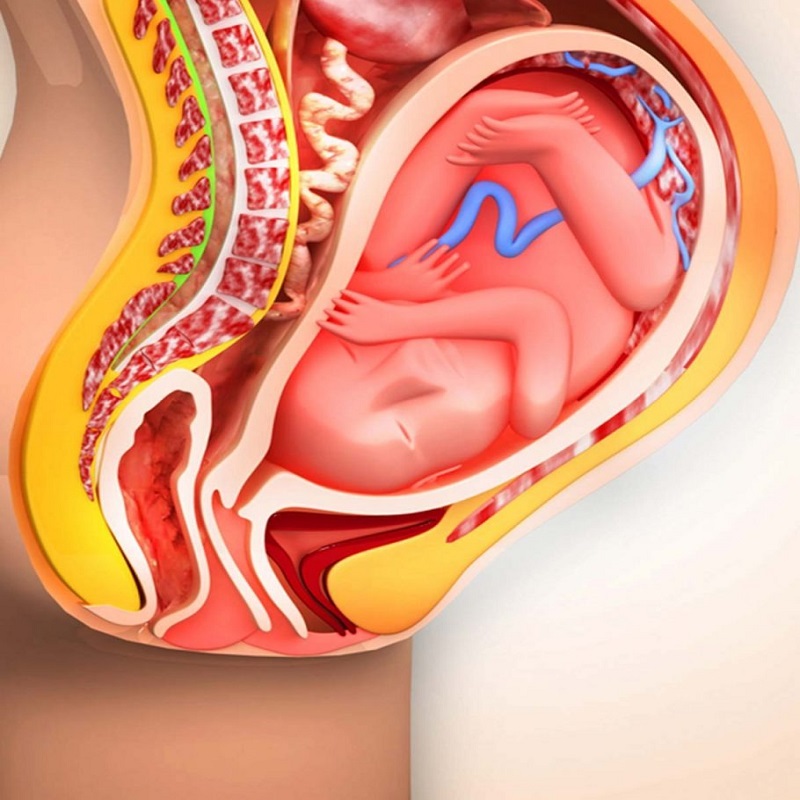 Sản phụ đã từng sinh nở nhiều lần rất dễ bị đờ tử cung (Ảnh: Sưu tầm Internet)