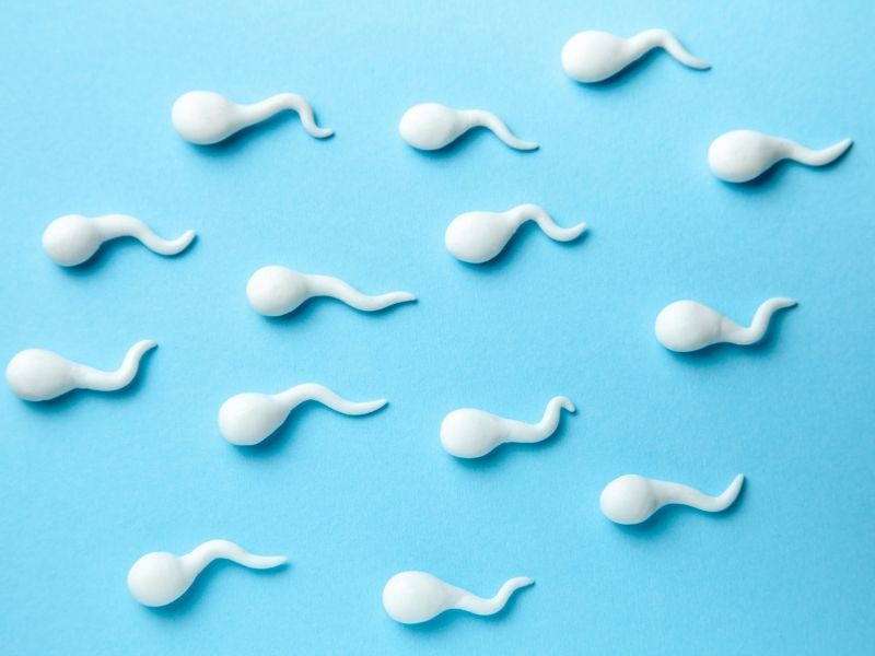 Chất lượng tinh trùng kém ở nam giới mắc bệnh tuyến giáp. (Ảnh: Sưu tầm Internet)