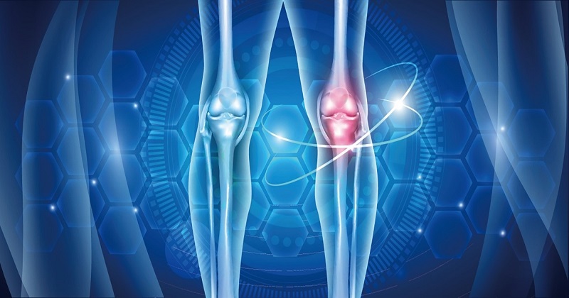 Collagen giúp phòng tránh các bệnh về khớp, loãng xương (Ảnh: Sưu tầm Internet)