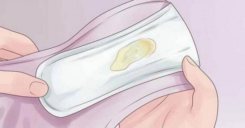 Trong thời kỳ mang thai âm đạo của mẹ sẽ tiết dịch khí hư nhiều. (Ảnh: Sưu tầm Internet)